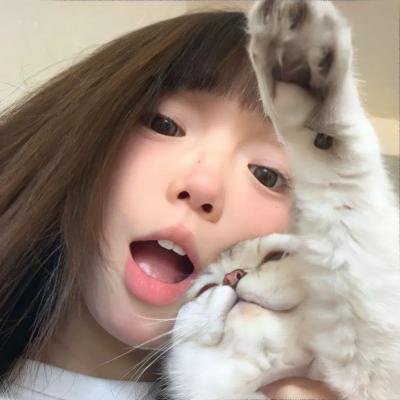 奥约帝国缔造者 在线观看封面