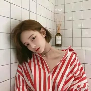 北部丛林 在线观看封面